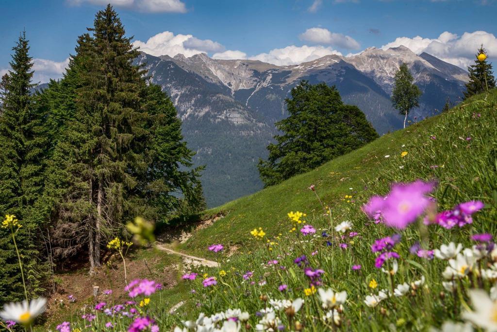 Fewo Lebensfreude Mittenwald Habitación foto